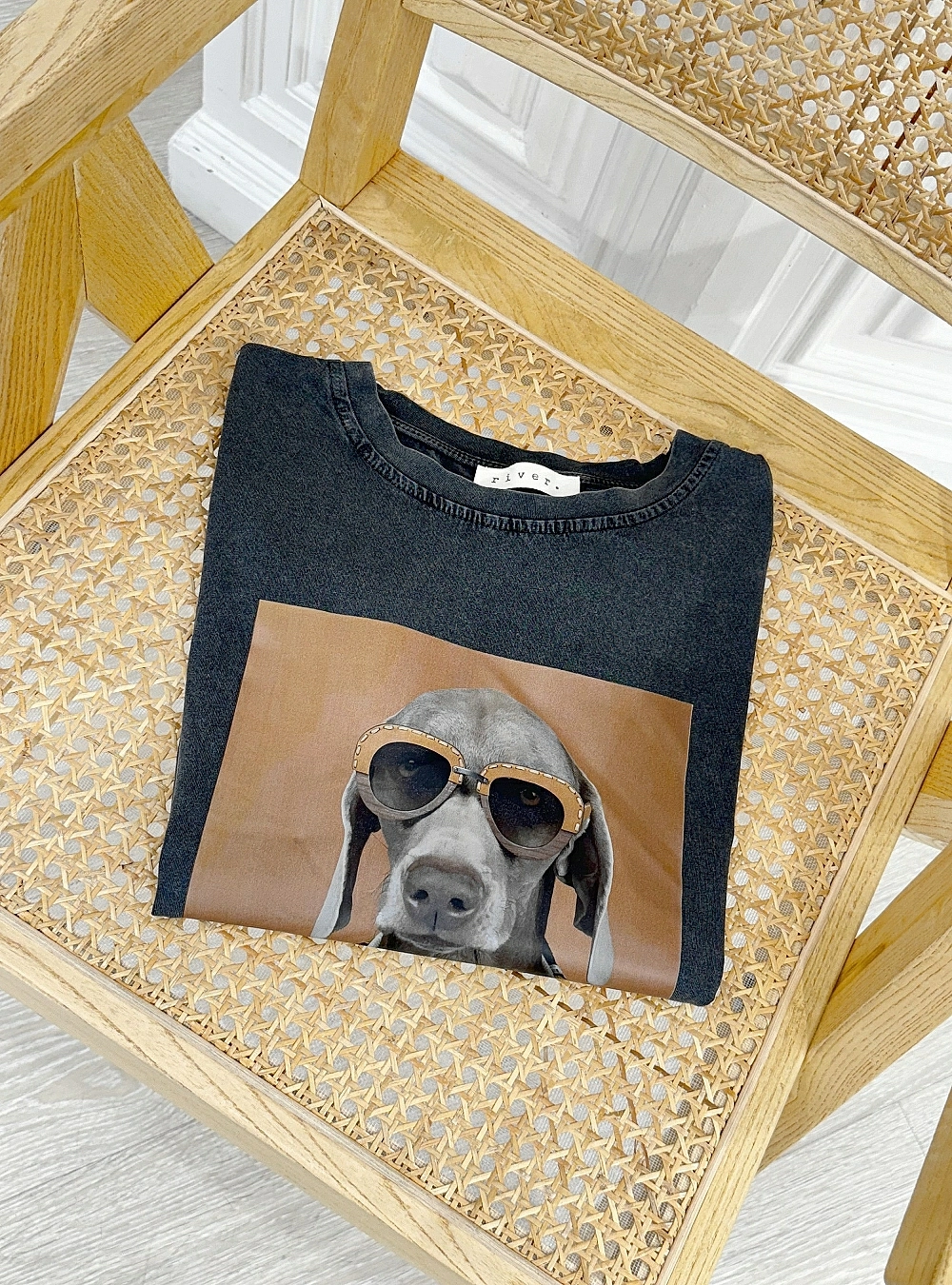 Camiseta fashion dog