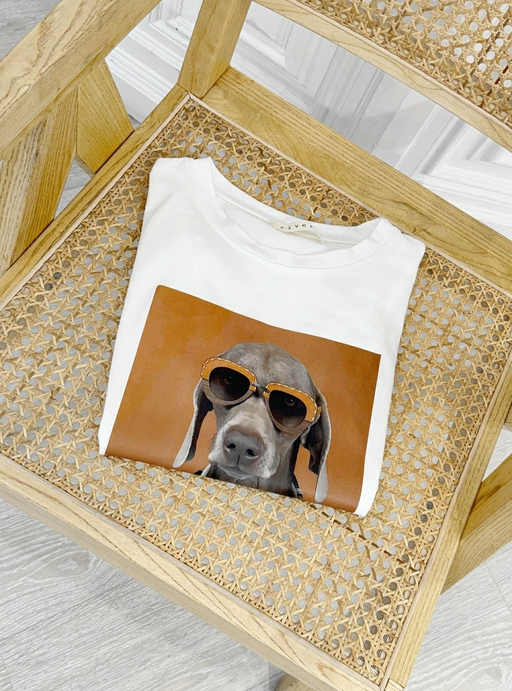 Camiseta fashion dog