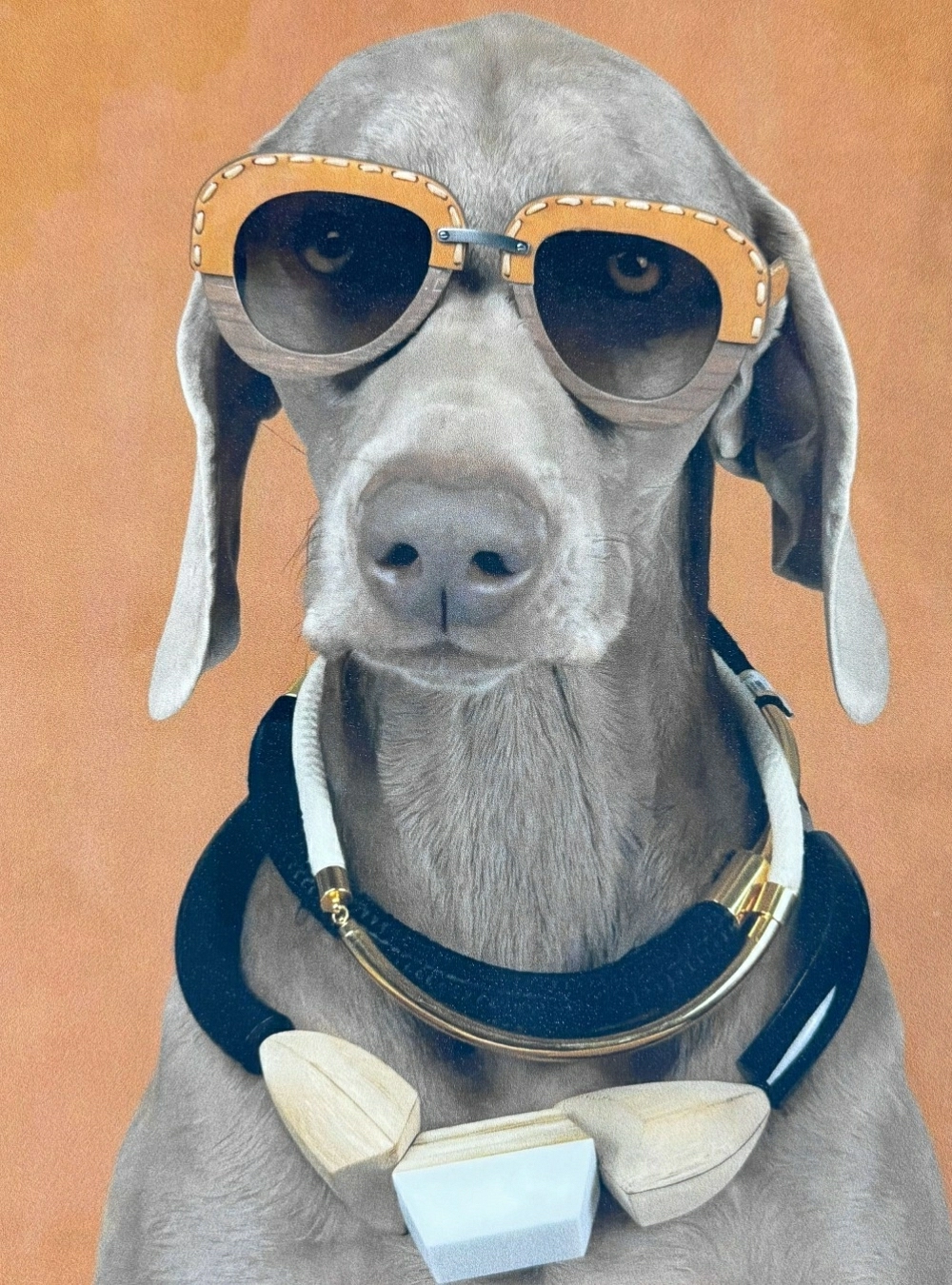 Camiseta fashion dog
