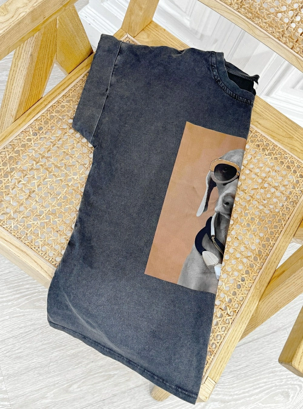 Camiseta fashion dog